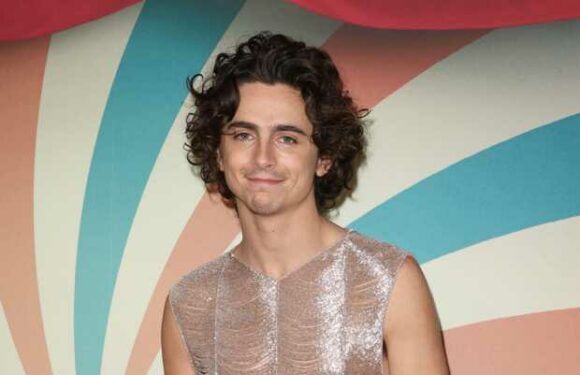 Timothée Chalamet : sa sœur Pauline n’est pas une inconnue !